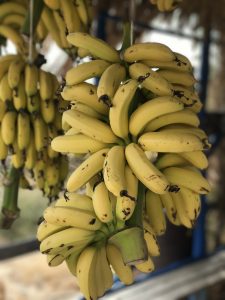 Bananas Crete